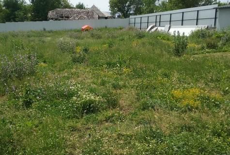 spațiu industrial Grumazesti judet Neamt - Poză 2