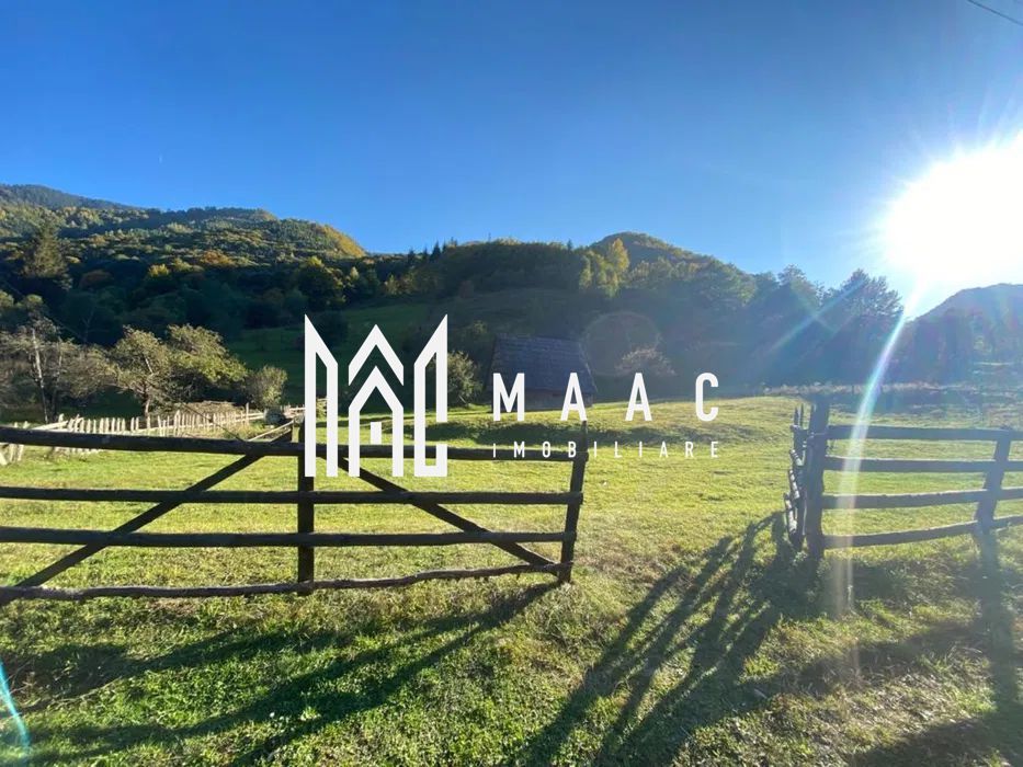 Teren 2300 Mp | Intravilan | Rau Sadului - Poză 3