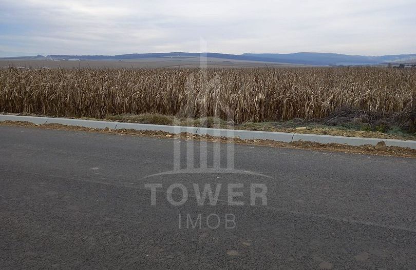 Teren 4,000mp intravilan | Șura Mică - Poză 1