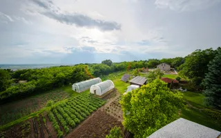 Vilă Exclusivistă în Copou – 680 mp Utili | Teren 1.414 mp - Poză 32