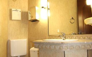 Casă individuală – Dumbrăvița, mobilata si utilata, spatii generoase. - Poză 14