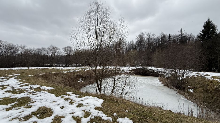 Teren extravilan | Horodnic De Sus | 3600MP - Poză 10