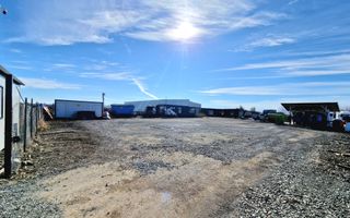 Teren / Platforma 1000mp de inchiriat | Mosnita Noua | Albina - Poză 3