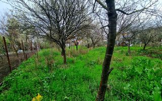 Teren ultra-central Mogosoaia I 1058 mp I Castelul Mogoșoaia - Poză 3