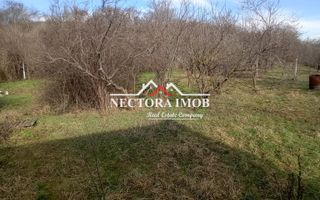 NECTORA IMOB-Teren Intravilan Zona Facliei, Teren Plat,460 mp,F:29 ml - Poză 3