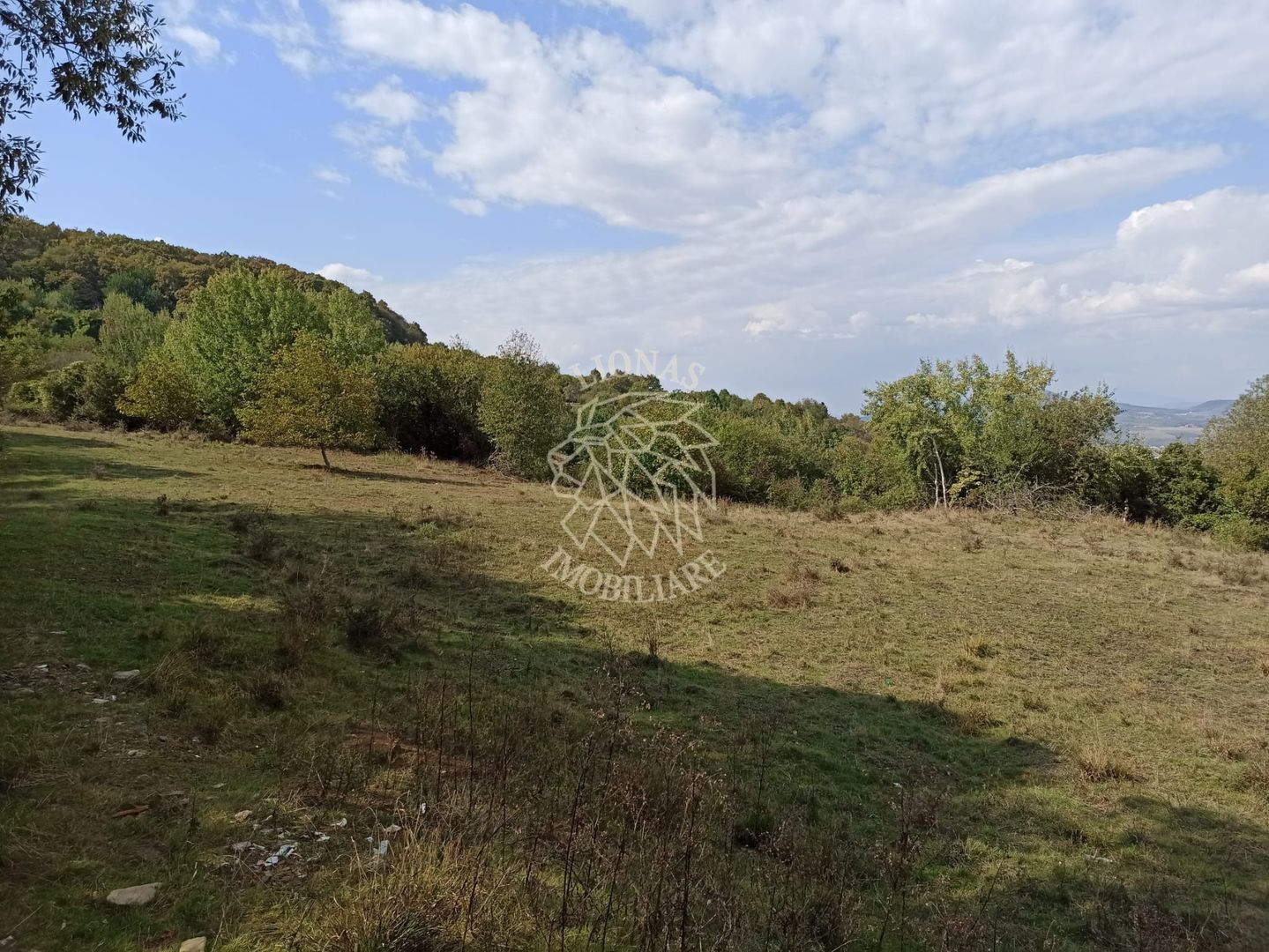 Teren  42,200 mp (4,22 hectare)-Parcelabil-investitie-Valea Jelnei - Poză 2