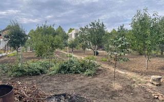 Teren de vanzare | Mogosoaia | 1252 mp - Poză 1