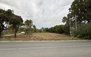 Teren Intravilan 2.551 mp I Gruiu I Comision 0 I Negociabil - Poză 1