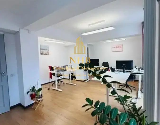 Casa/Vila 5 camere | Tei | Spatiu birouri - Poză 2