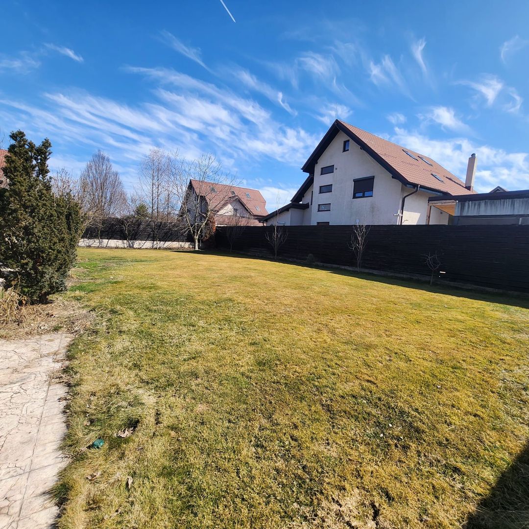 Vila cu piscina Snagov Ciofliceni - Poză 24