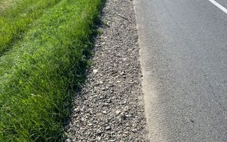 Teren extravilan de 29.300 mp, deschidere 41 m la E58, pe directia Iasi, intre Podul Iloaei si Letcani - Poză 5