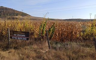 Teren 4606 mp-ideal investitie-Sarata - Poză 2