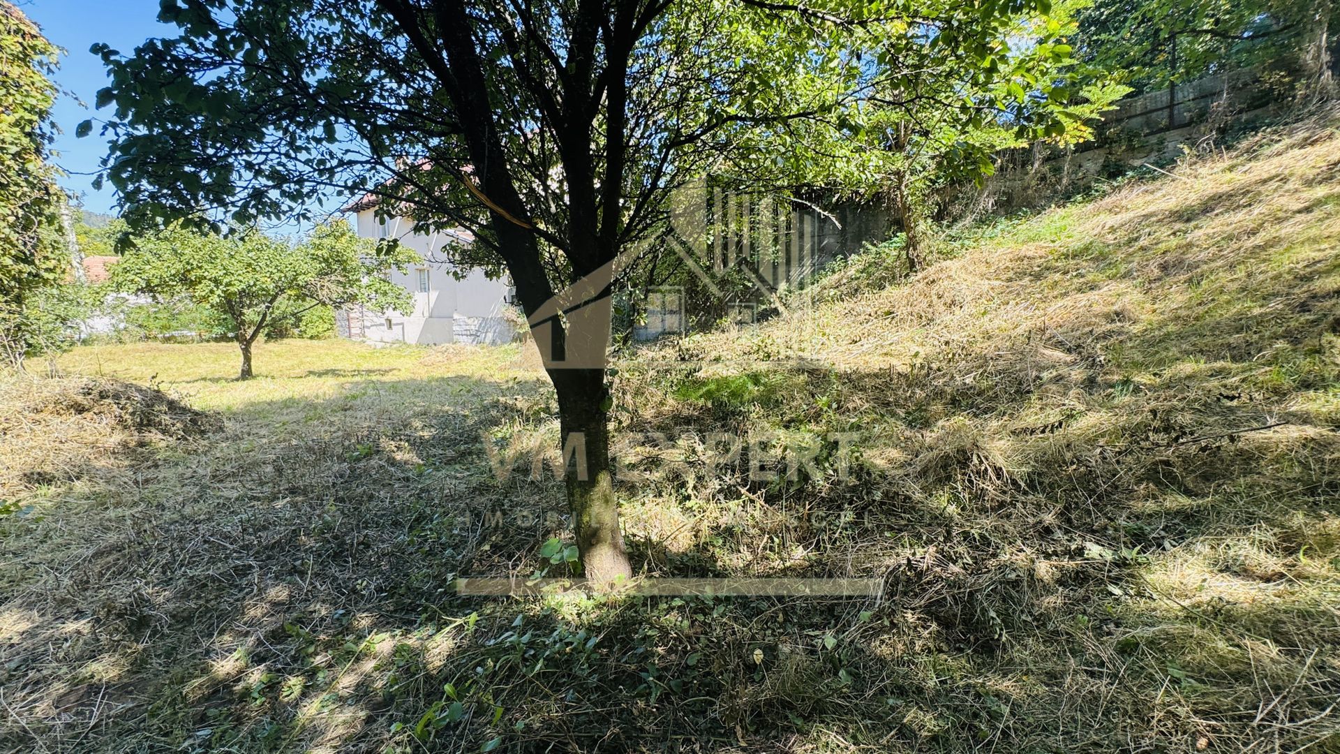 TEREN INTRAVILAN 3234 MP LEREȘTI VOINEȘTI ARGEȘ - Poză 24