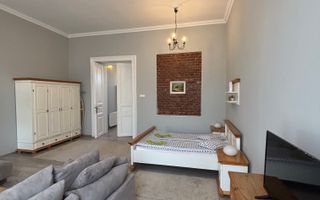 Apartament cu o camera în clădire istorică ,zona Maria - Poză 25