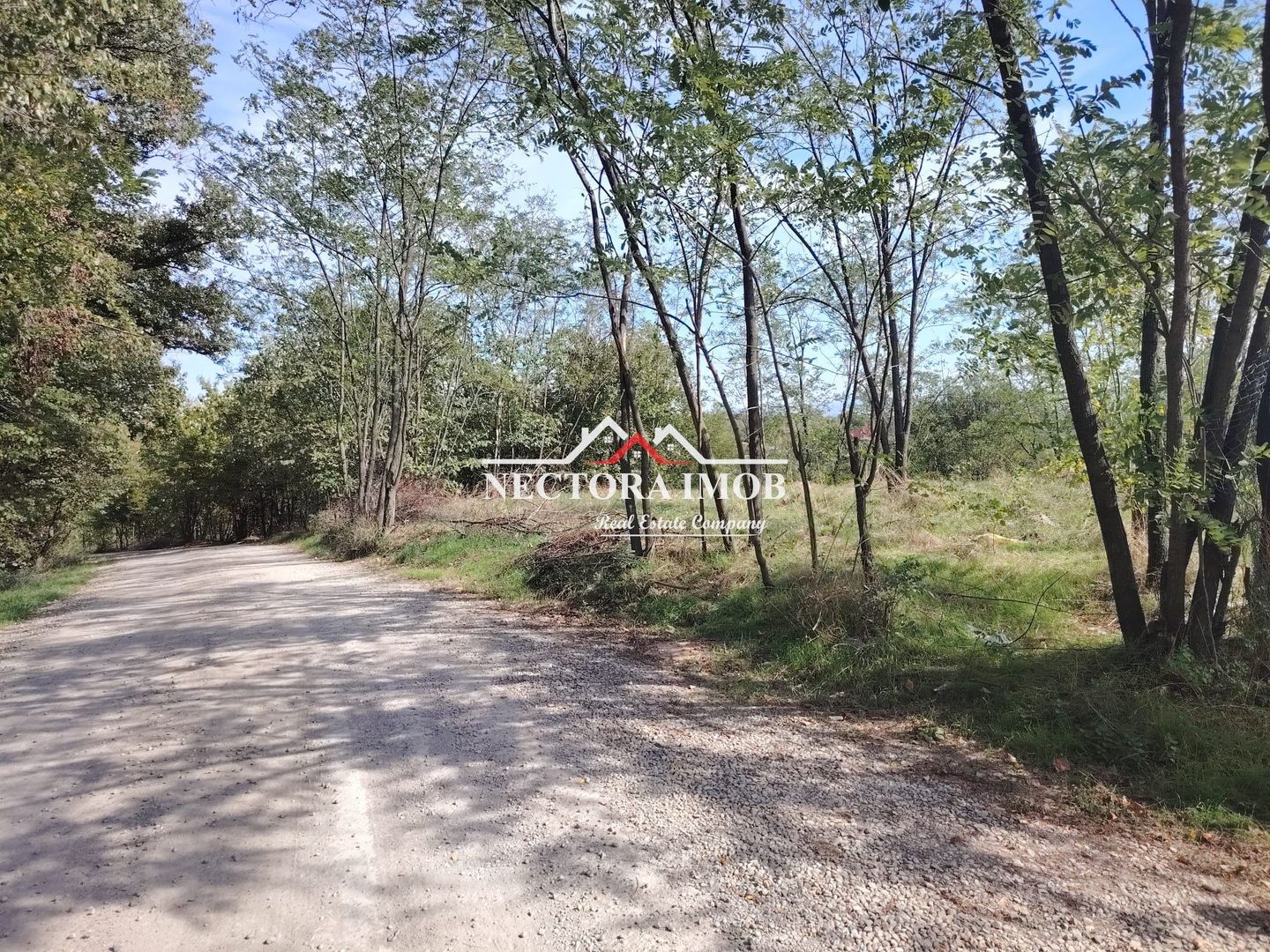 NECTORA IMOB-Teren Saldabagiu de Munte, 2350 mp, 21 ml front stradal - Poză 2