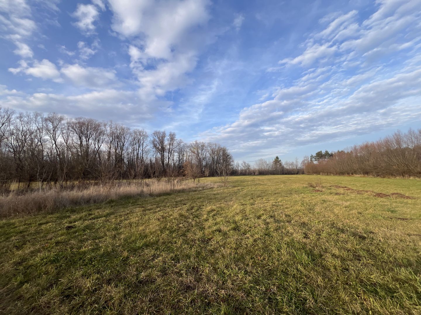 TEREN INTRAVILAN GENEROS | 72 ARI | GALANESTI - Poză 2