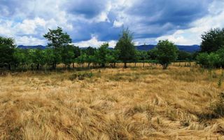 TEREN INTRAVILAN  POLOVRAGI - Poză 7
