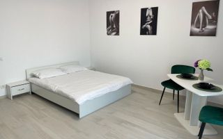Apartament cu 1 camera mobilat si utilat la parter in Giroc la asfalt. - Poză 2