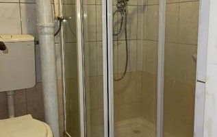 Vilă spațioasă, 6 camere, Copou -Sărărie - Poză 16