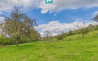 Casă cu teren de 17.681 mp, în loc. Hălmăgel, Arad - Poză 13