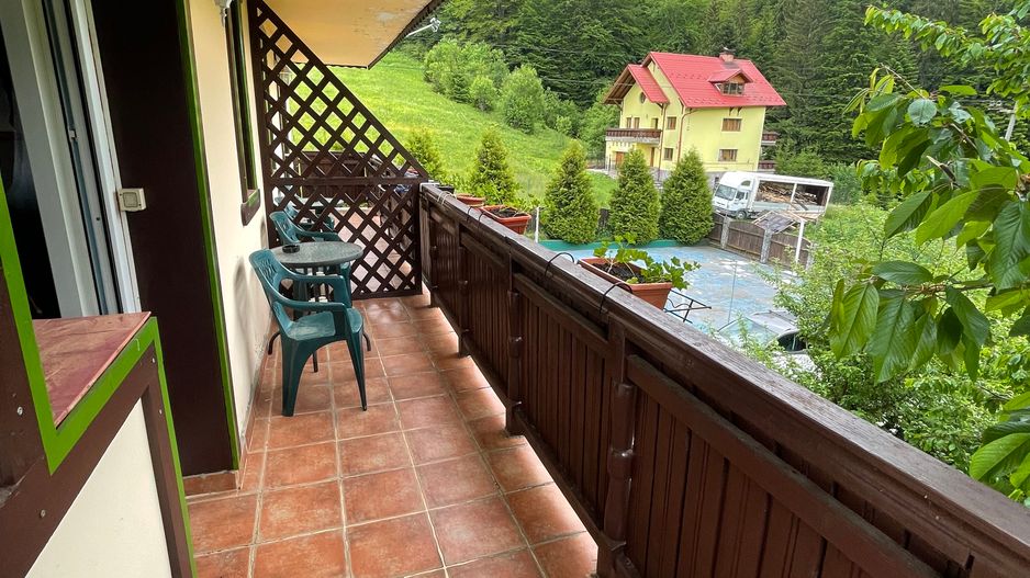 Proprietate in incantarea naturii, oportunitate investitie/rezidential, Predeal - Poză 42