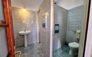 Spatiu comercial de inchiriat Traian - Poză 12