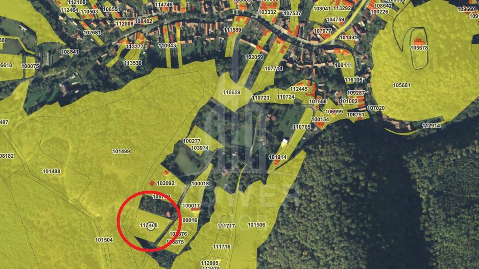 Teren intravilan 4600mp - 55 EUR/mp - EXCLUSIVITATE CISNADIOARA - COMISION 0% - Poză 2