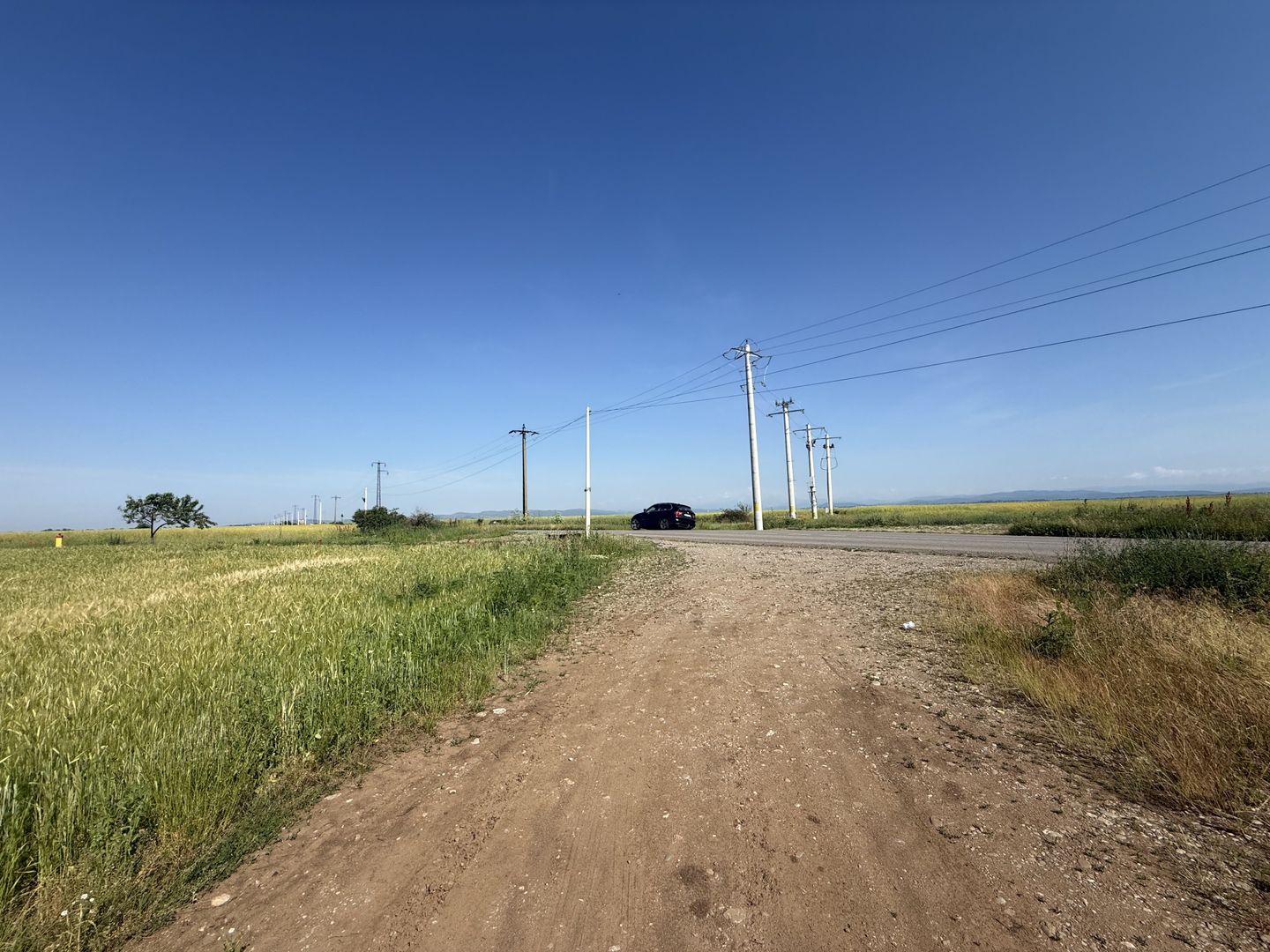 Teren 10 hectare pretabil pt panouri solare-Aricesti Rahtivani - Poză 10