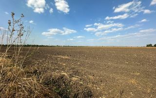 Teren extravilan de vanzare | 9882mp | Berceni - Prahova | Comision 0% - Poză 7