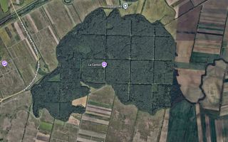 Teren zona Mosnita Padurea Bistra - Poză 3