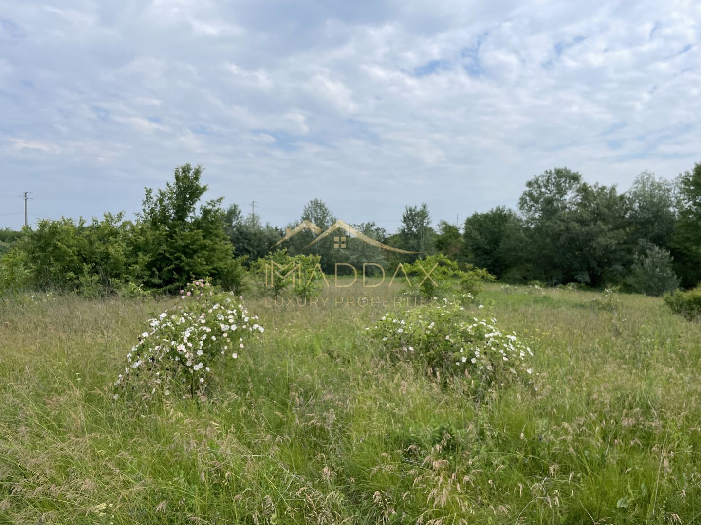 Teren intravilan***1439 mp***Cretesti-Vidra-Ilfov - Poză 16