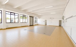 De inchiriat hală Freidorf | depozite frigorifice | Acces centura - Poză 1