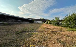 Teren 9.508 mp cu 2 fronturi stradale – Sofronea, Arad - Poză 6