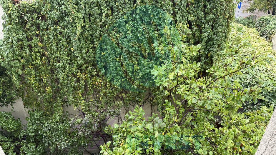 UNIC in Zona - Apartament in Vatra Luminoasa - Poză 2