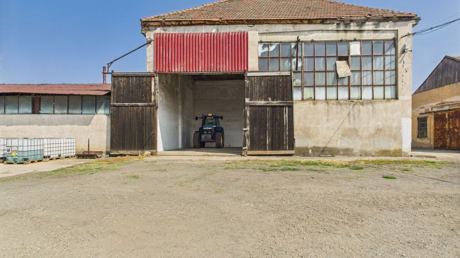 Complex industrial cu hale și teren  în Orțișoara - Poză 18