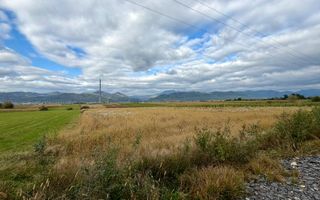 Teren zona Dealul Groșilor - Poză 1