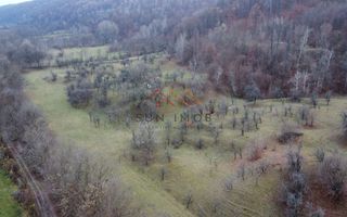 Teren 36000 m2, intravilan+partial extravilan, cadastru, Draganeasa PH - Poză 4