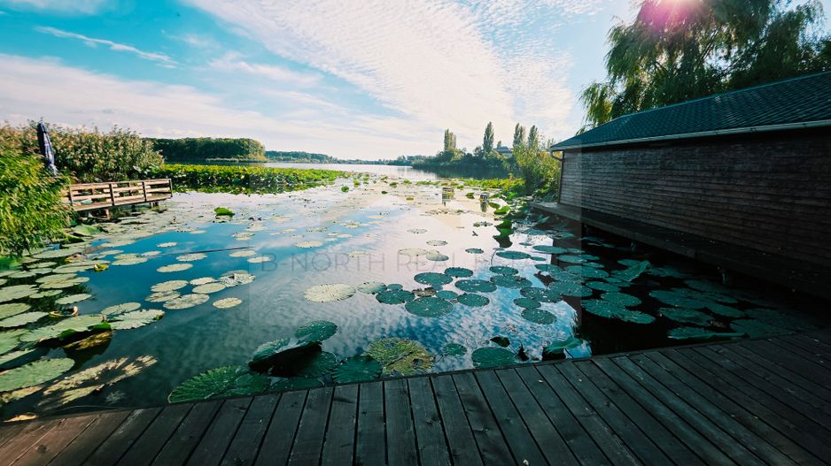Vilă cu ponton privat la Lacul Snagov – casă de oaspeți, cramă, 1.768 mp - Poză 3