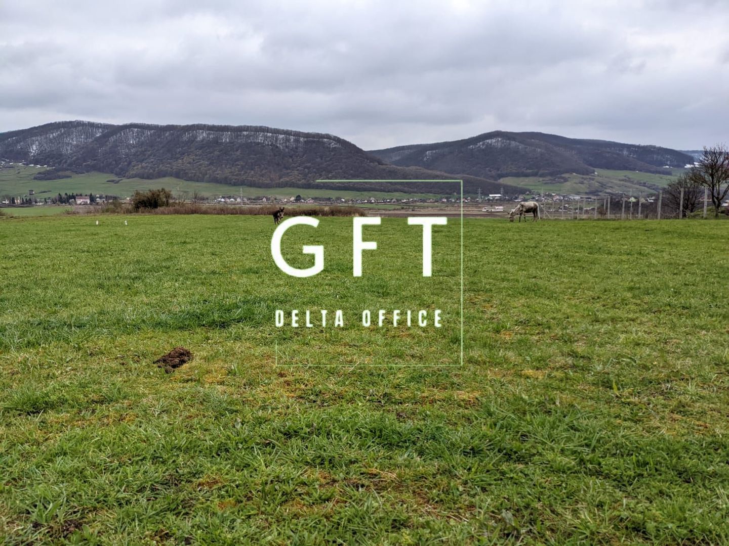 Teren intravilan | 5-26 ari | Crainimăt - Poză 2