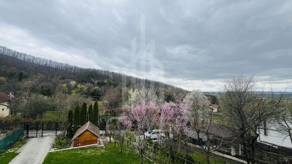 Casă de vacanță în Tocile - Poză 18