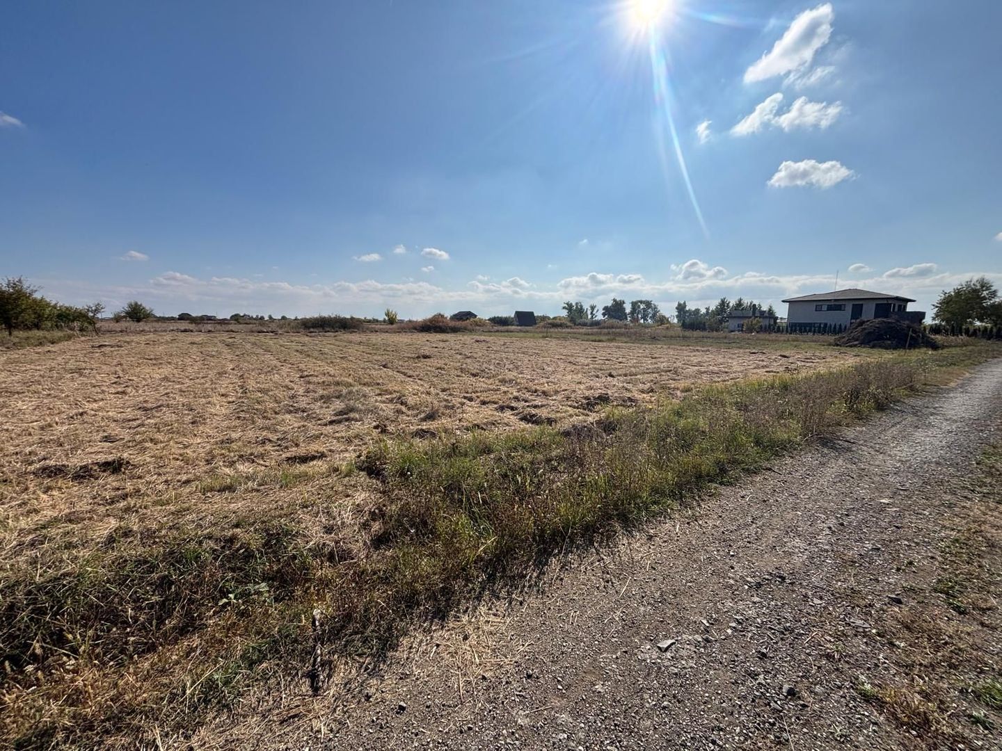 Teren Mosnita NOua 780 mp posibilitate duplex - Poză 3