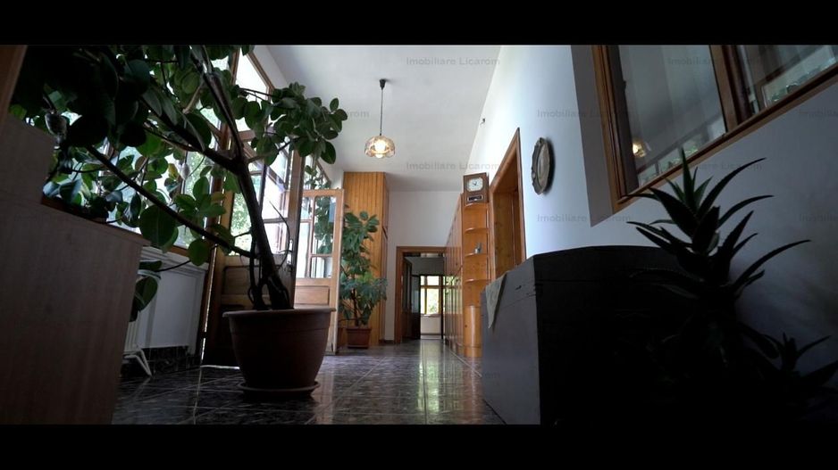 Oferta Conac boieresc P+M,teren 20400 mp - Poză 4