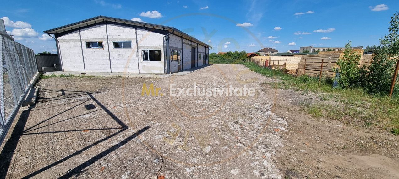 Inchiriere Hală Producție/Depozitare 300 mp, Teren 1791 mp - Carei - Poză 8