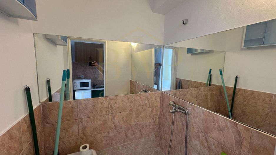 Garsoniera, Take Ionescu - Poză 6