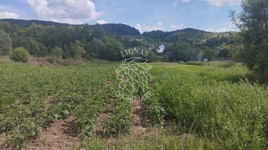 Teren 5832 mp-ideal lac, investitie, cabana, gradina-Slatinita - Poză 1