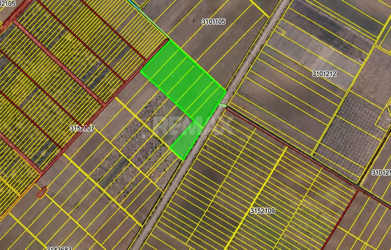 4,85 HA CU DESCHIDERE DE 300 M LA TRASEU | CRIULENI – SLOBOZIA-DUȘCA - Poză 7