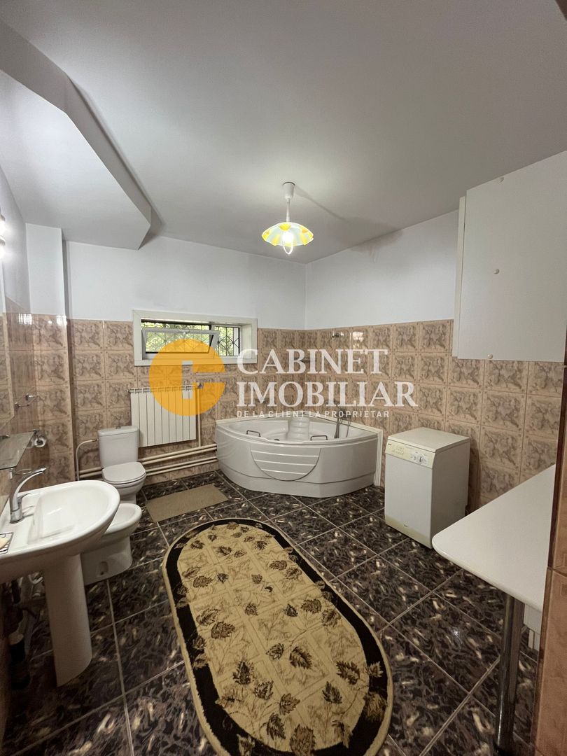 PROPRIETATE EXCLUSIVISTA 390 MP - 2000MP teren Popas Pacurari Garaj Beci - Poză 20