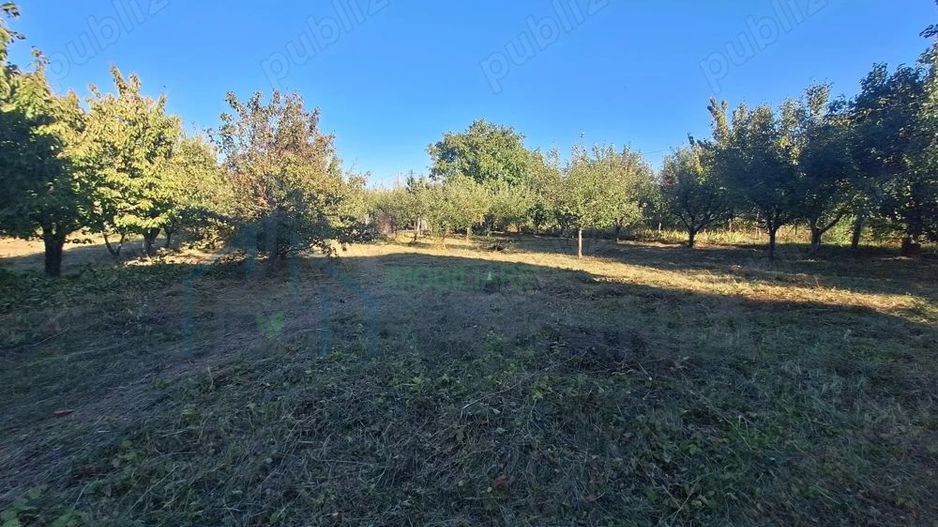 Vând Teren Horlesti-Rediu - Poză 1