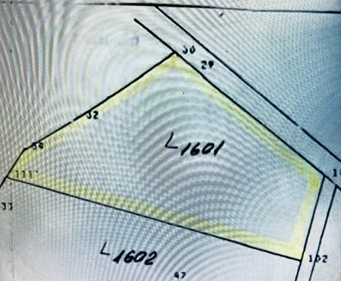 Teren intravilan de 1.125 mp la liziera Pădurii Gheorghe Doja – Oradea - Poză 2