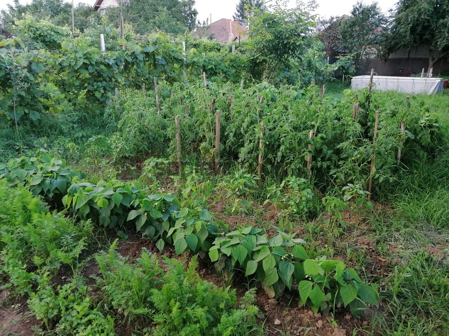 Sapient | Casa zona Episcopia Bihor - Poză 20